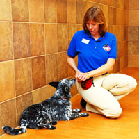 janet-deaton-dog-trainer-083c_200 Janet Deaton, dog trainer