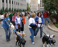 walkathon200910032c200